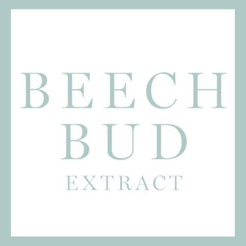 BEECH BUD EXTRACT INGREDIENT